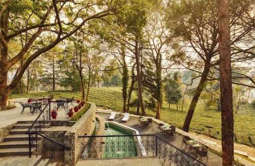 Palampur Hotel | Infinitea Dakbunglow Palampur