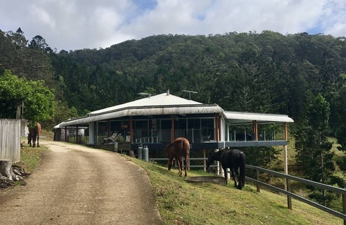 Tallebudgera Valley Bed & Breakfast | Ingleside Stud Farm