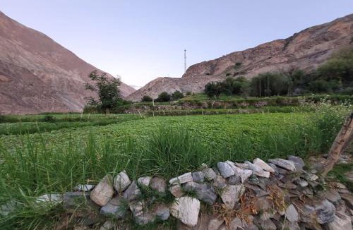 Leh House | ITW- Into The Wild Camps , Tyakshi , Leh