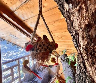 Jibhi Resort | ITW- Into The Wild Tree House , Jibhi