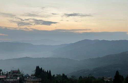 Darjeeling House | Jasmine Homestay Darjeeling