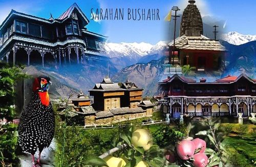 Sarahan Hotel | JEEVAN JYOTI Hotel