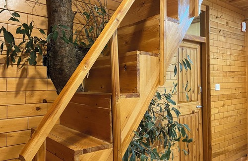 Jibhi Cottage | Jibhi Bliss treehouse Cottage-1