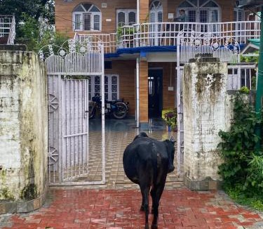Sidhpur House | JIYA Guest HOUSE