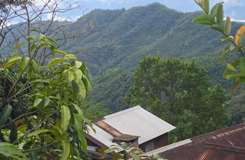 Zunheboto House | John Homestay