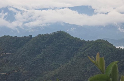 Zunheboto House | John Homestay
