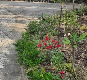 Dimapur House | JUNGJUNG HOMESTAY