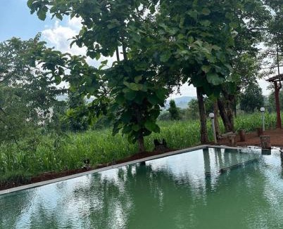 Amba Hotel | Jungle Mist Resort