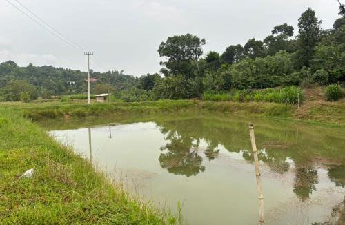 Mudigere House | Kadugadde Homestays - Near to Ettina Bhuja trekking