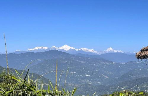 Rishop House | Kagey Honeycomb Homesaty