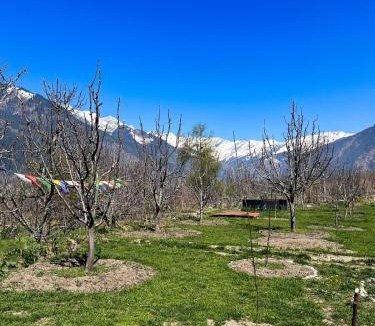 Jagatsukh Ski Chalet | Kahaani - Luxury Wooden Chalet in Manali