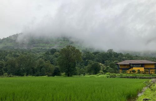 Kalote Mokashi House | King's Landing