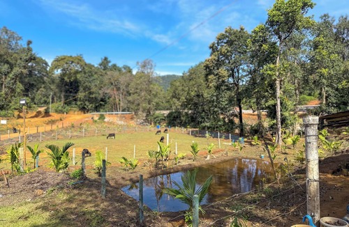 Tumari Bed & Breakfast | Kodachadri Pathalagere Homestay