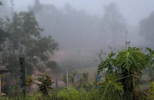 Tumari Bed & Breakfast | Kodachadri Pathalagere Homestay