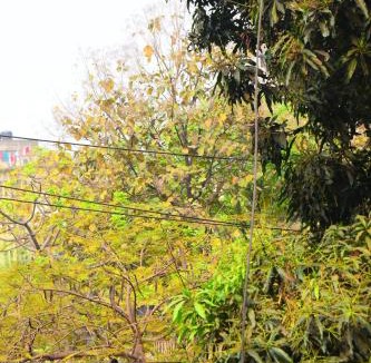 Dhaka House | Kompass - Home Stay