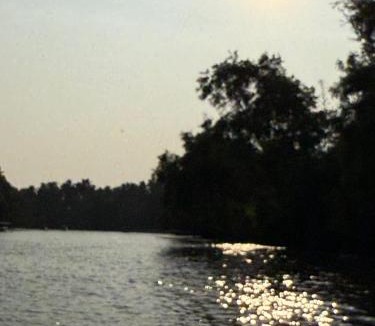 Poovar Apartment | Lake Park