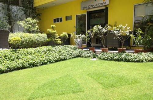 Udyog Vihar Hotel | Lemon Tree Hotel, Udyog Vihar, Gurugram