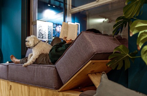 Fitzroy Apartment | Live on the world's most livable street! Walk everywhere, pet welcome.