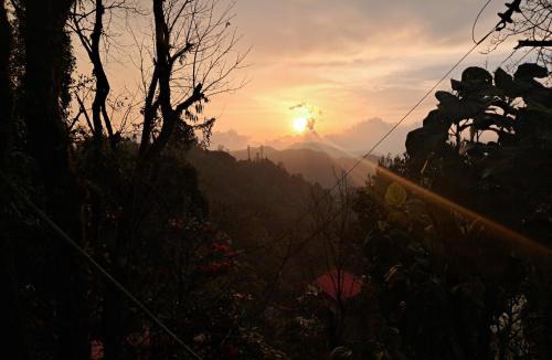 Ghoom House | Magnolia Blossom Homestay