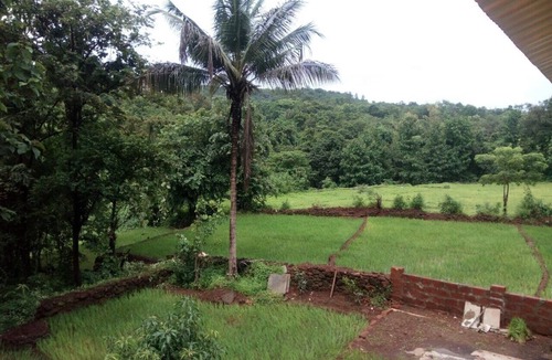 Lanja Other | Mango Villa Farm house
