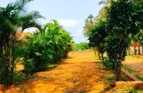 Honavar House | Mangrove Village Inn