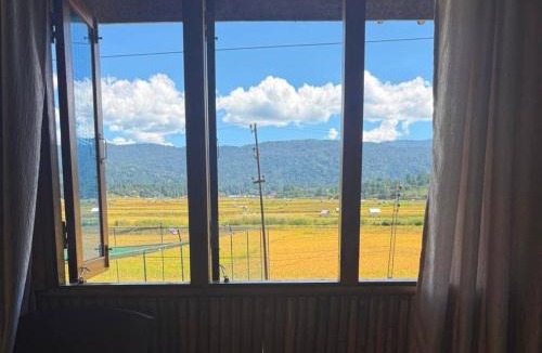 Ziro House | Marmo