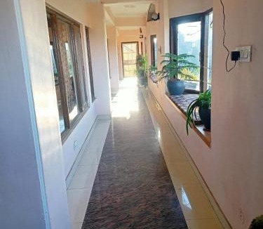 Shimla Hotel | Meadows Lush B&B