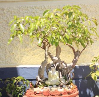 Belur House | Meeslu Mane, The Chic HomeStay