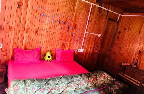 Shangarh Hotel | Meet by cooincidence homestay - A place of peace and nature