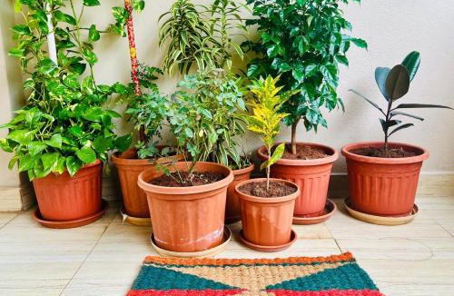 Vijayawada House | Meraki Home