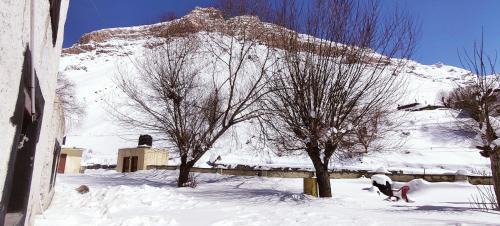 Kaza House | Middleland homestay kaza