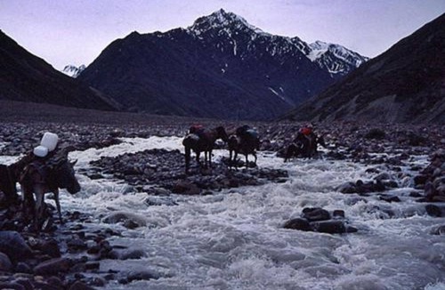 Sarchu RV Rental | Mulkila Adventures - Campsite