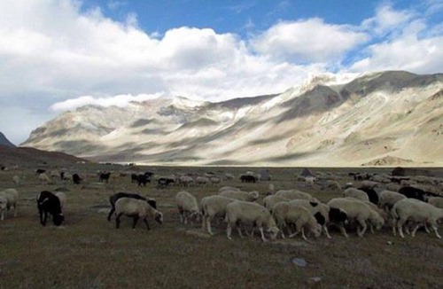 Sarchu RV Rental | Mulkila Adventures - Campsite