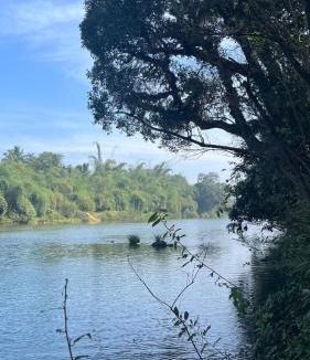 Siddapura House | Mynas Nest Riverside Homestay