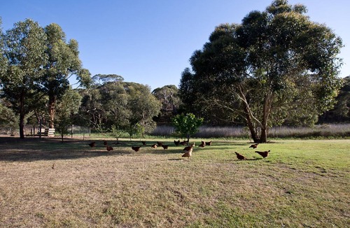Bellbrae Apartment | Mystics keep Studio apartment Bellbrae
