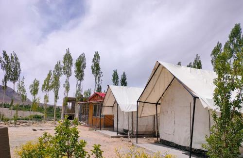 Ladakh Resort | Neryok's Indus view