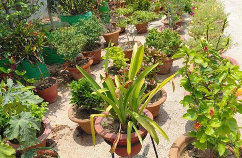 Patna House | Nilayam hosted homestay