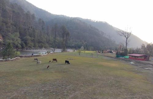 Purola House | Nirvana Eco Resort, Village Mora, Mori