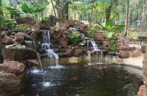 Maina Resort | Nirvana Hill Resort
