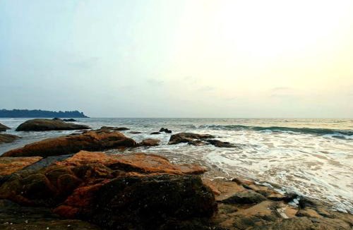 Palolem Apartment | Nisarg