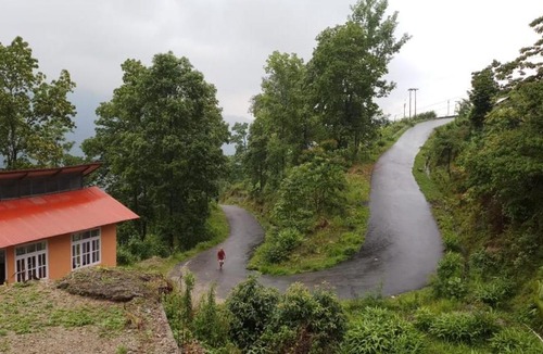 Kurseong House | Orange Orchard