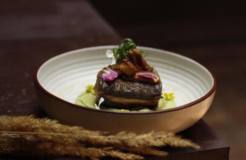 Hundar Hotel | Organic Village Retreat