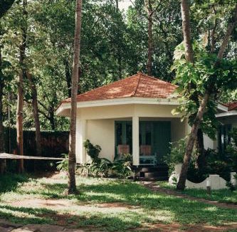 Varkala Hotel | Paddle Cult Surf & Yoga