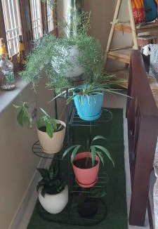 Shyam Nagar Bed & Breakfast | Padmalayabnb