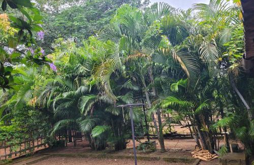 Bolpur Resort | Panchobon Art Resort