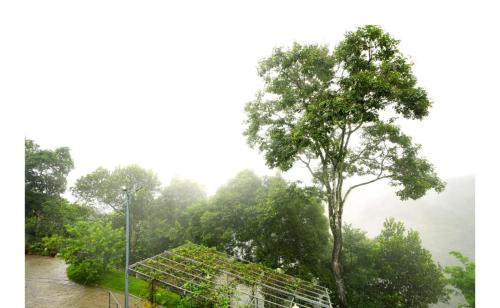Elappara Apartment | Periyar Heritage Homestay