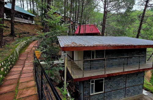 Shoghi Villa | Pine Wood Nirvana Jungle Resorts