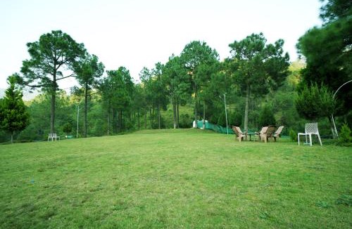 Dharampur Resort | Pineland Resorts & Chalets Kasauli