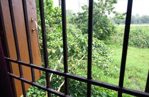 Nagaon House | Pobitora Home Stay