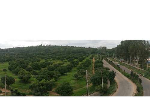 D Souza Layout Resort | Private room ∙ 2 guests